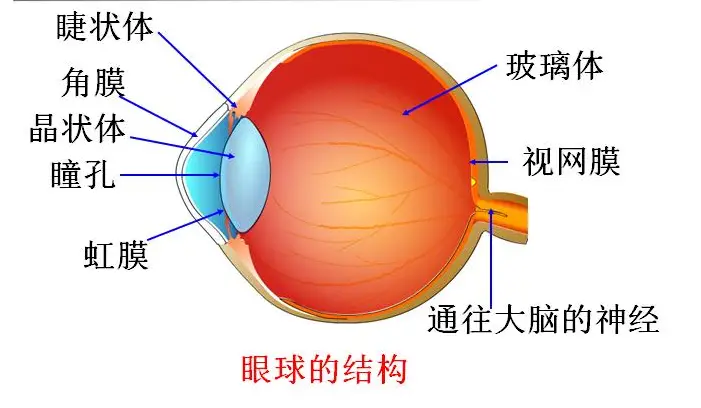 手拉葫芦原理3d动画_手拉葫芦原理动画视频_手拉葫芦三维模型