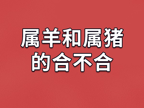 动漫水果篮子男主是谁_水果篮子动漫_动漫水果篮子主题曲简谱