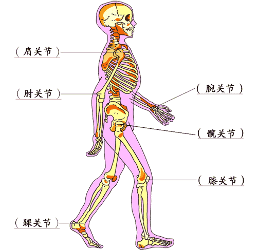 儿童性教育动画视频_性教育视频动画_儿童性教育动画