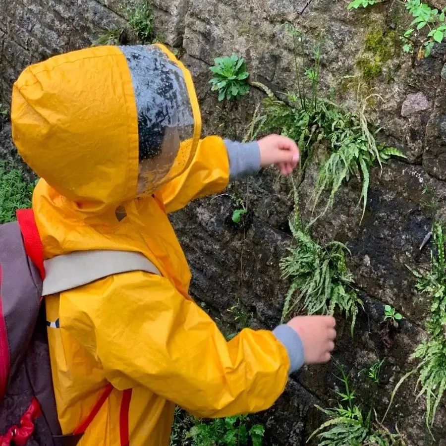 单机种植游戏_单机种植游戏排行榜_种植的单机游戏