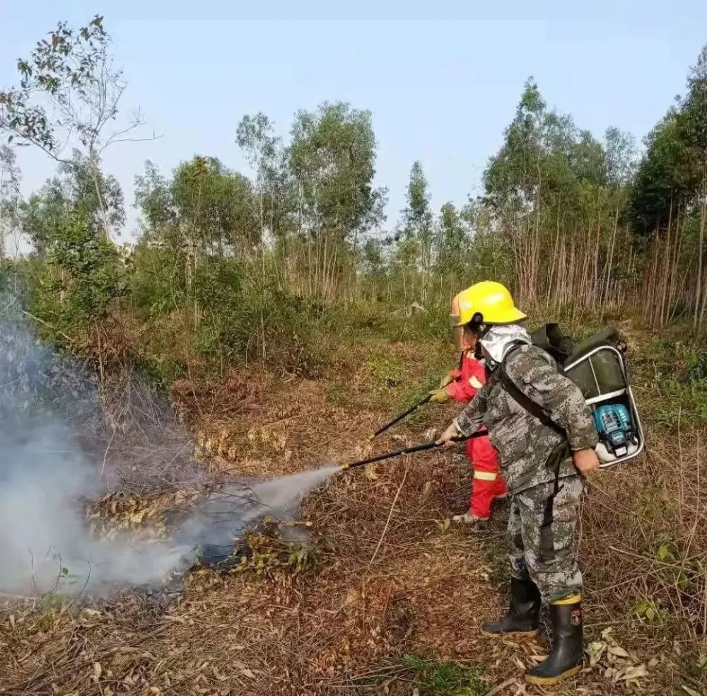 实智博成消防软件_消防软件下载_消防软件