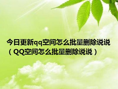 qq空间删说说软件_删qq空间说说的软件_qq空间说说全部删除软件