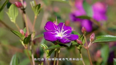 网游之天使恋上她_恋爱天使游戏_网游之天使神话