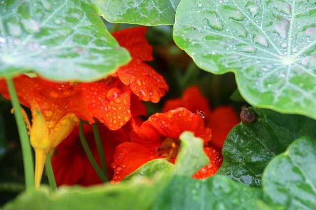 烟雨朦胧时的小说_朦胧烟雨的小说_网游之烟雨朦胧色txt