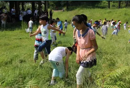 规则游园项目游戏活动反思_幼儿园规则游戏方案设计_游园活动项目及游戏规则