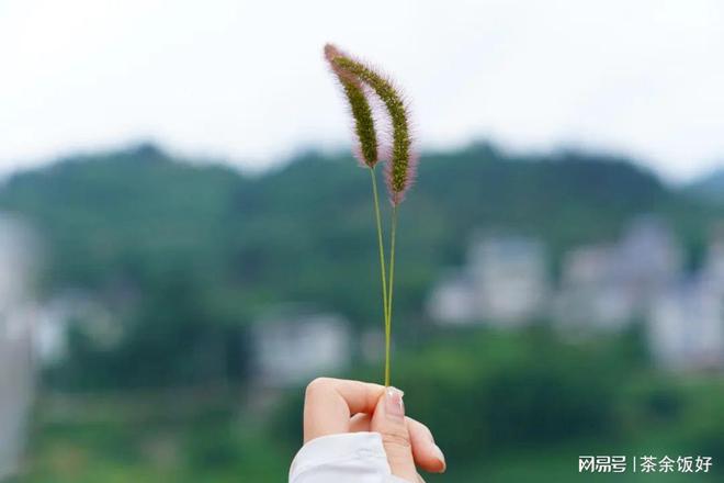 惊天动地网络游戏_惊天动地游戏_惊天动地游戏所有歌曲