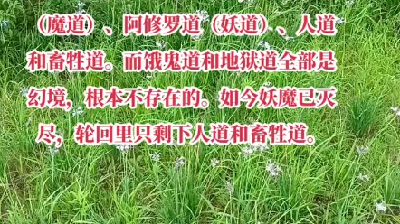 修罗的人_阿修罗动漫我本不是人_修罗是哪个动漫