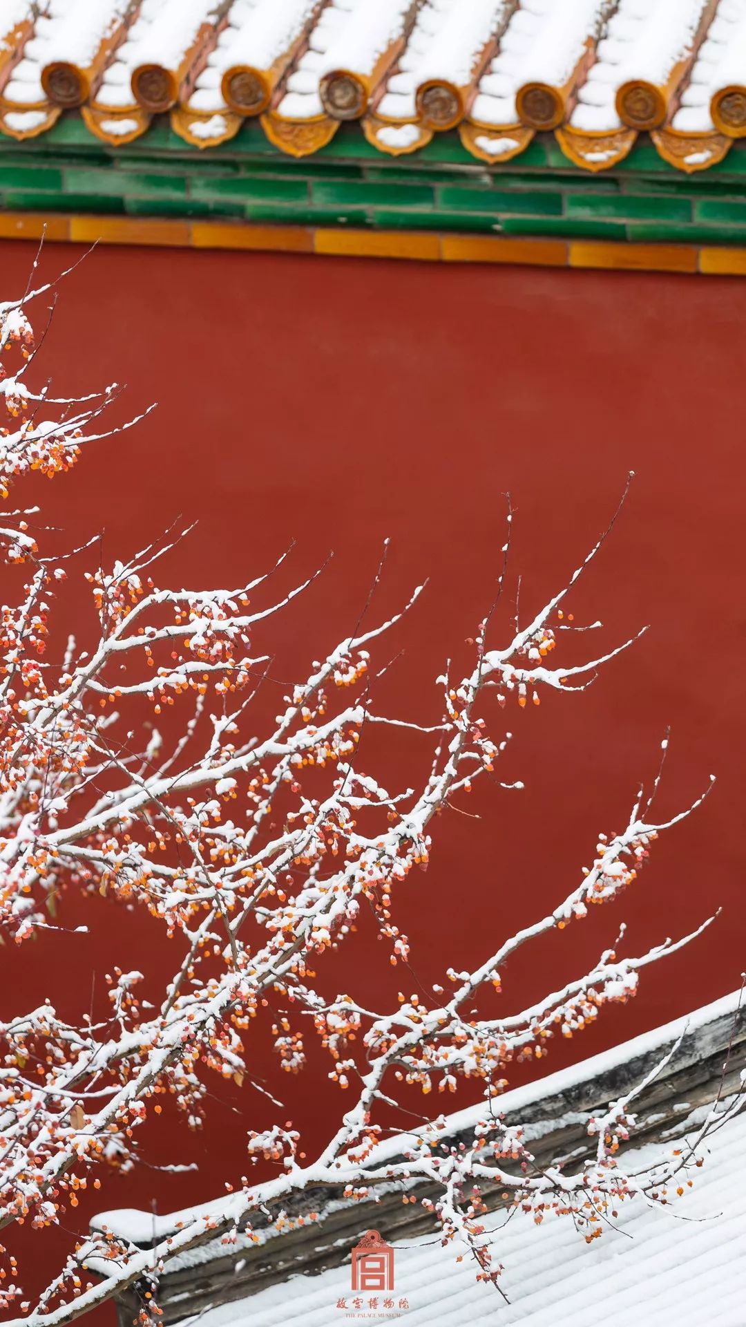 北国风光千里冰封万里雪飘 动画_冰封雪飘图片_冰雪风光游