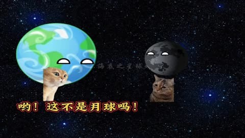 孔明灯卡通_孔明灯的动画片_动漫两只小猫放孔明灯图片