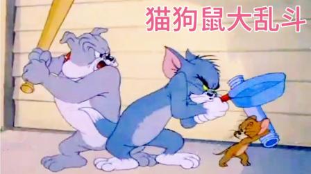 一条狗 一只猫动漫-狗狗和猫咪在动漫世界的奇妙冒险：热情与高