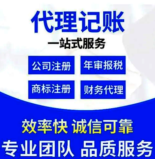 财务代理软件公司名称_财务代理公司软件_做财务软件的公司