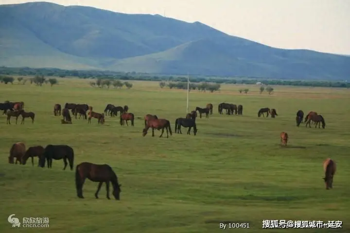 梦幻西游手游客服电话24小时_手游梦幻西游客服电话_梦幻西游手游客服电话多少