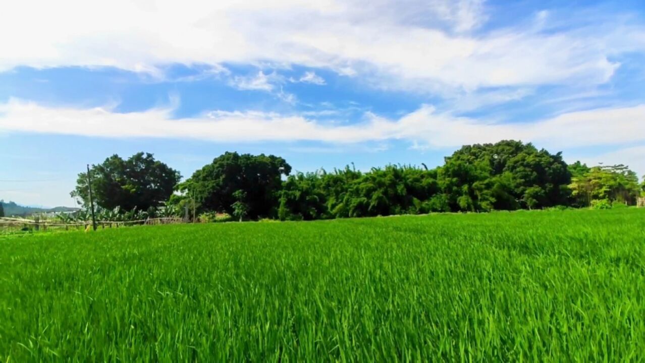 网游悠闲的生活_网游之悠闲生活小说_网游悠闲小说生活免费阅读