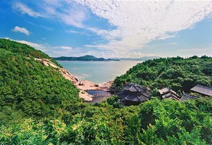 桃花岛视频入口在线播放,桃花岛视频入口在线播放——畅享高清影视盛宴