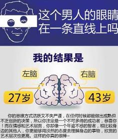 软件性格年龄分析,揭秘数字世界中的个性与成长