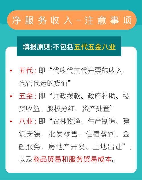 软件服务业财务指标,透视企业盈利能力与风险