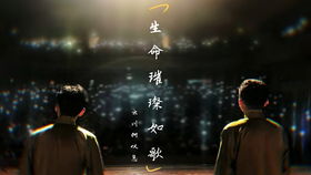 因为享受着他的灿烂是什么歌,探寻抖音热门歌曲《因为享受着他的灿烂》背后的故事
