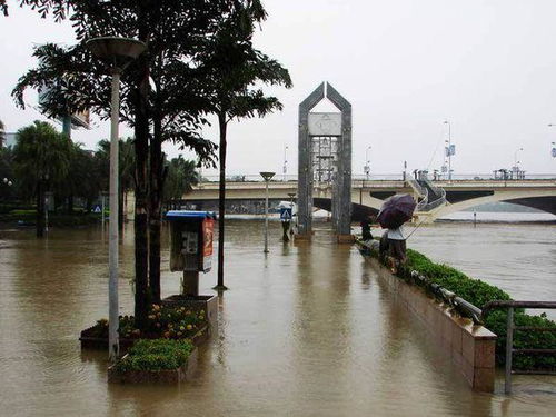 遭遇洪水袭击来不及撤离时,遭遇洪水袭击来不及撤离时的应对措施