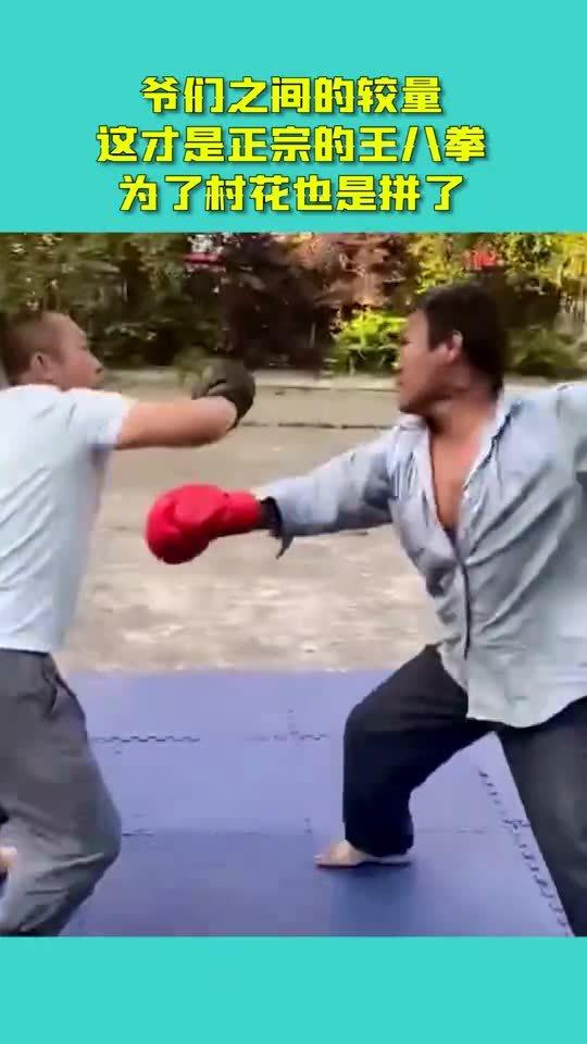 王八拳,什么是王八拳？