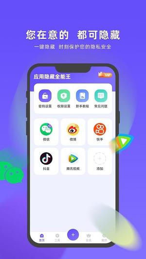 应用隐藏,信息隐藏技术在现代应用中的重要性及实现方法