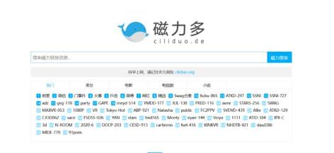 最佳磁力搜索引擎,高效便捷的资源获取利器