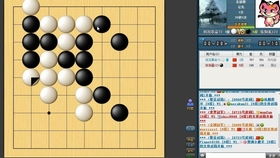 野狐围棋网,野狐围棋网——您的围棋学习与对弈新伙伴