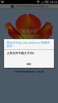 看图识游戏app,重温童年回忆