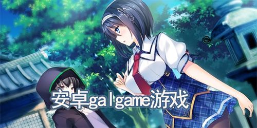 新娘我最美安卓下载安装 