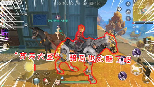 蓝一游戏群,多元化体验与玩家共鸣的奇幻之旅