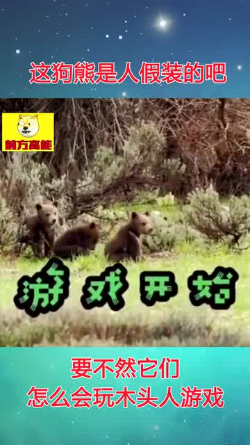 狗熊玩游戏,游戏世界大冒险