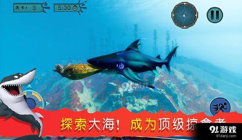 坚持到底游戏破解版 