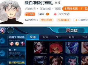 游戏玩家浅唱,从补天志女侠到王者荣耀高手的游戏人生