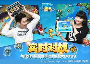 捕鸟游戏安卓版下载苹果,畅享指尖捕鸟乐趣