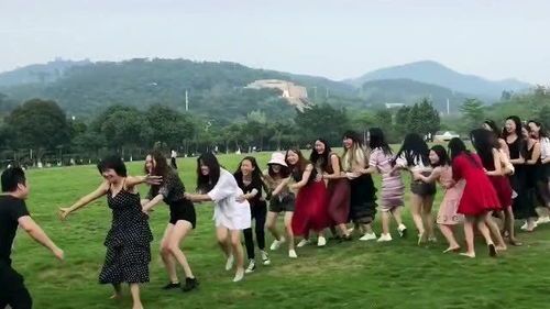 团结性的游戏,团结性游戏体验之旅