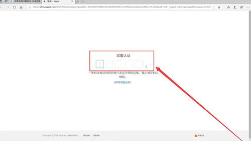 艾因交流程序 