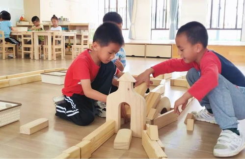 安吉游戏建构文案,建构儿童自主学习的乐园