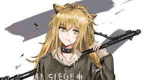 崩坏3内存和安卓系统,内存优化与安卓系统兼容性解析